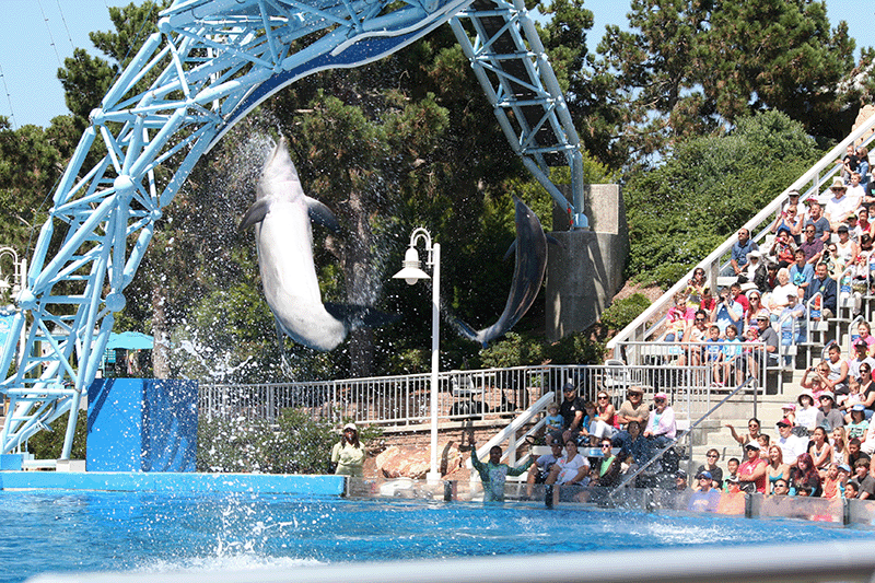 Sea World